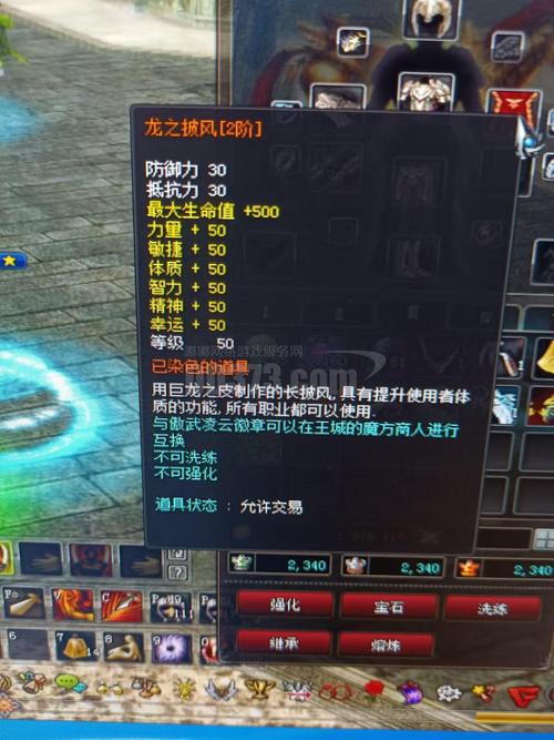 神泣私服版本库的深度探索与玩家分享体验