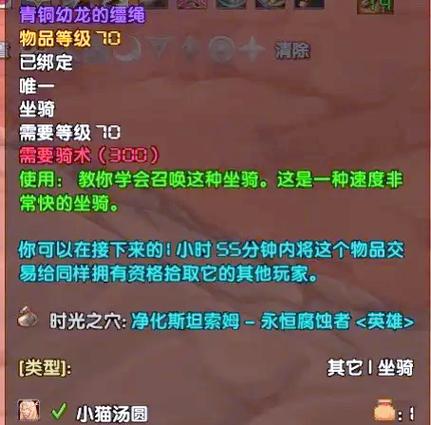 满级玩家在神泣私服中的高效赚钱方法
